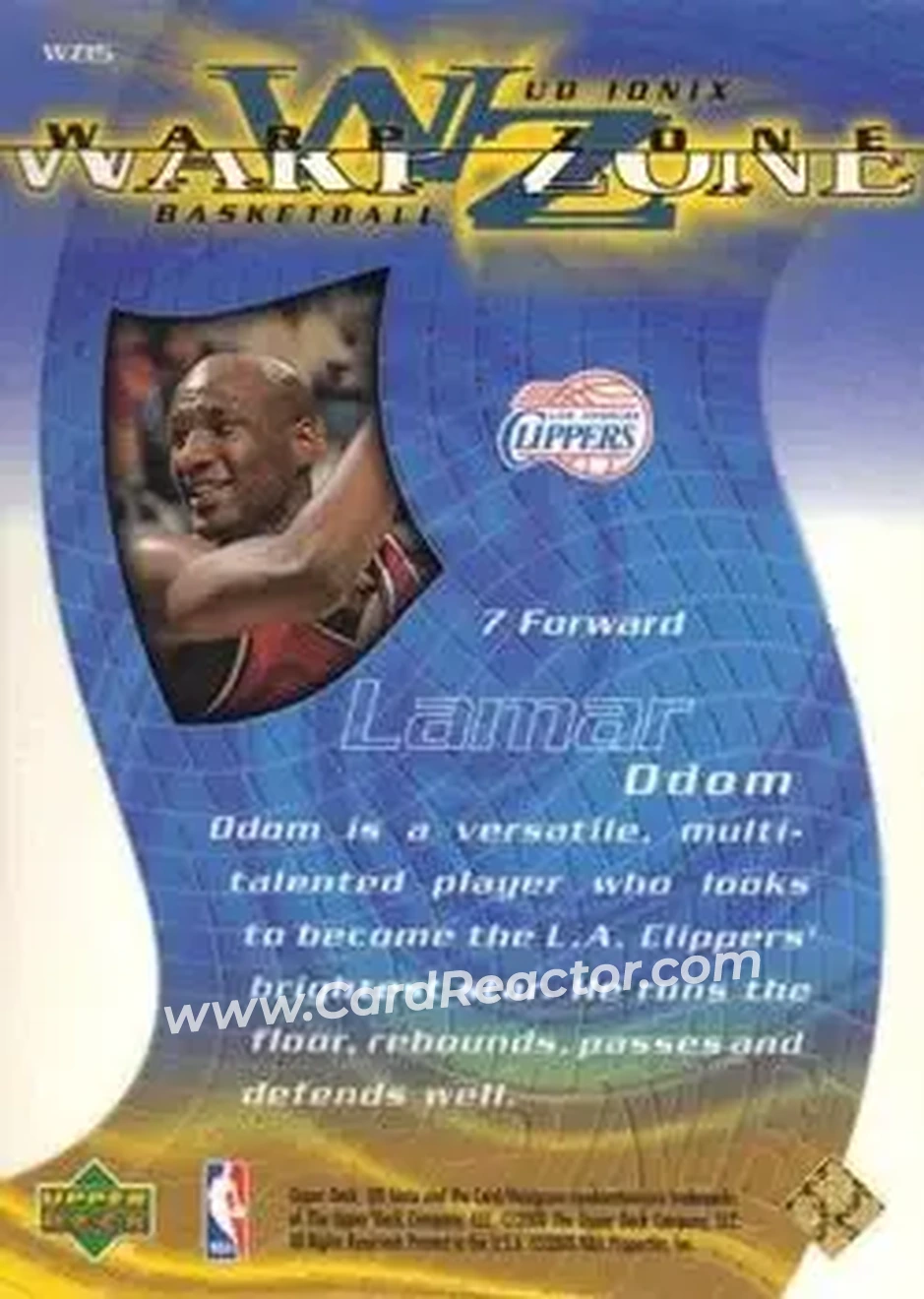 Back of Lamar Odom