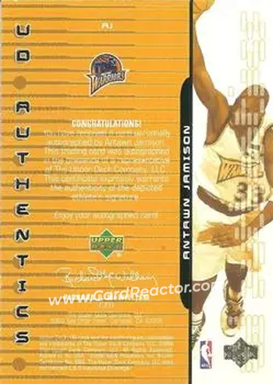 Back of Antawn Jamison