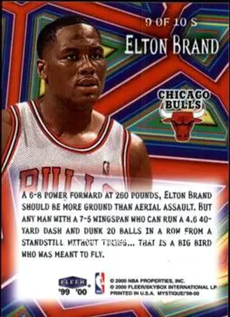 Back of Elton Brand