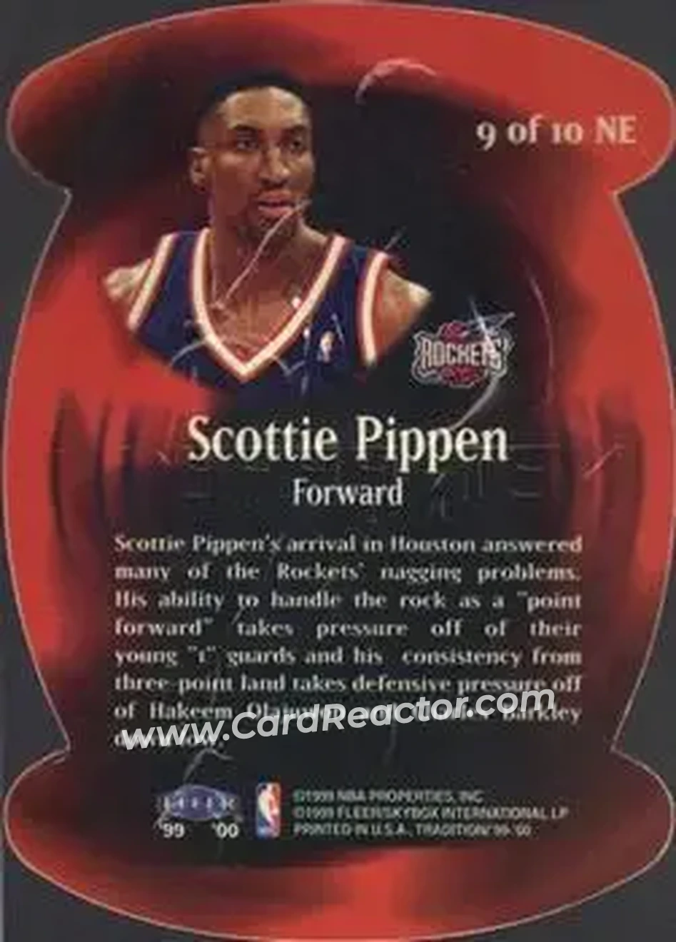 Back of Scottie Pippen