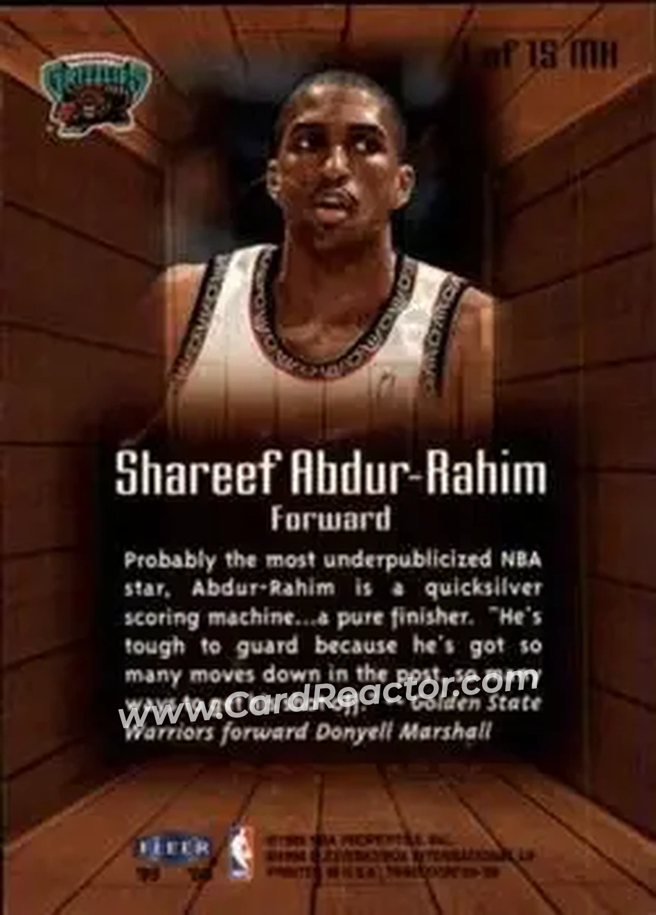 Back of Shareef Abdur-Rahim