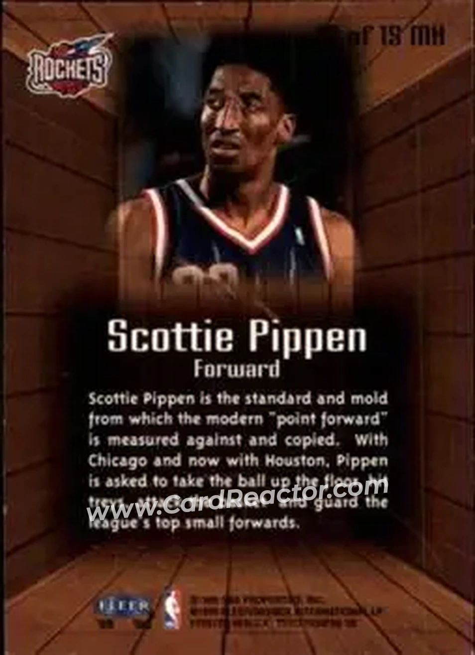 Back of Scottie Pippen