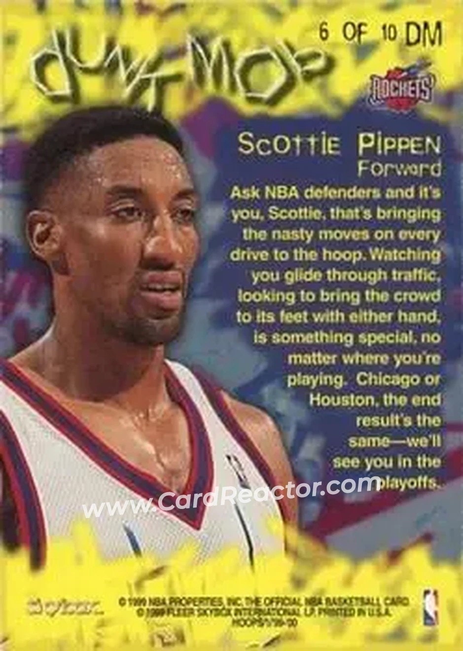 Back of Scottie Pippen