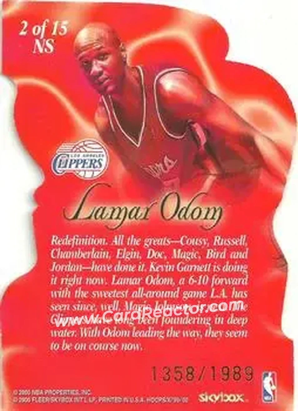 Back of Lamar Odom