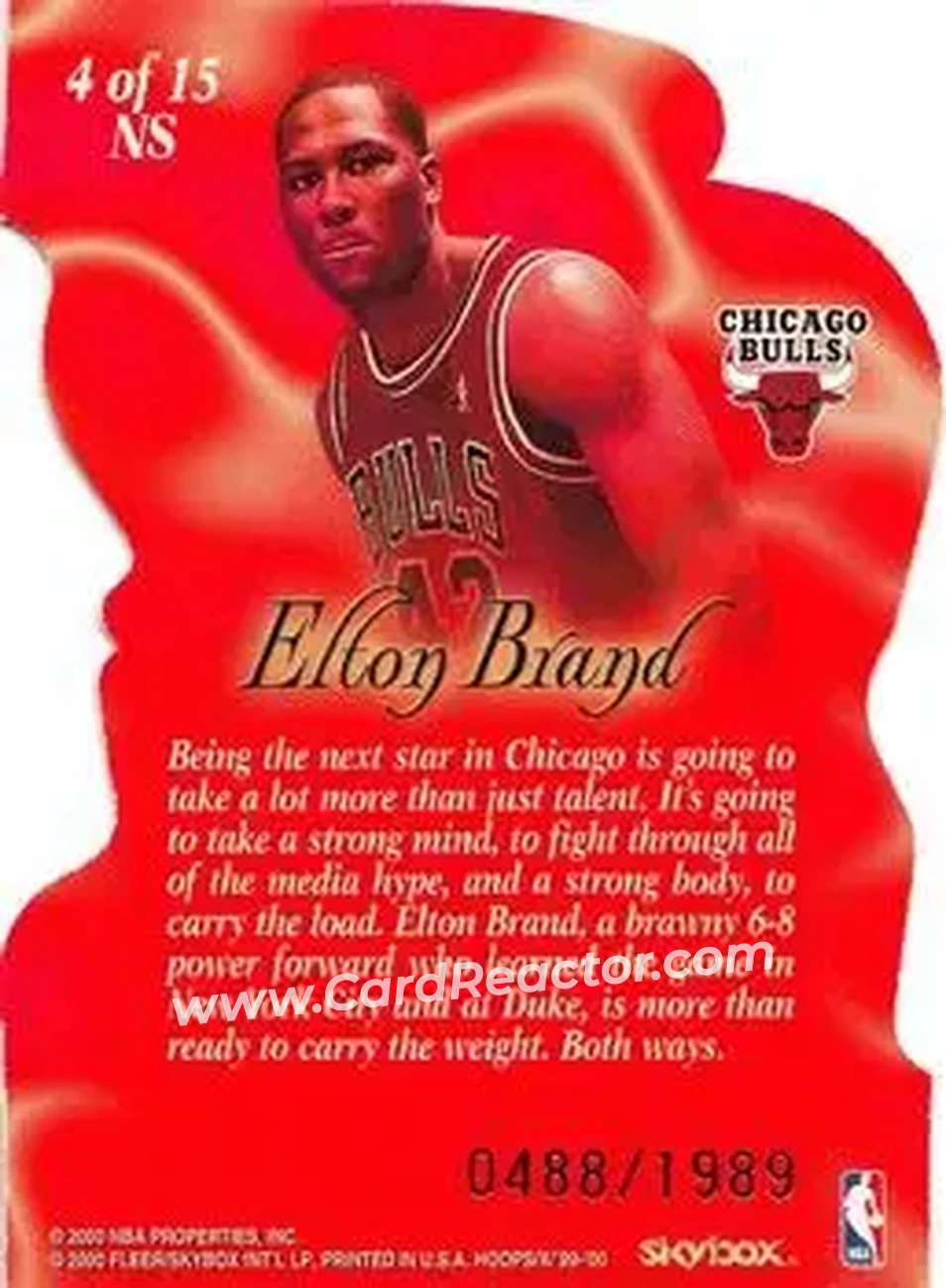 Back of Elton Brand
