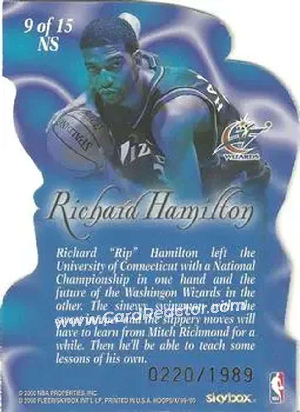 Back of Rip Hamilton