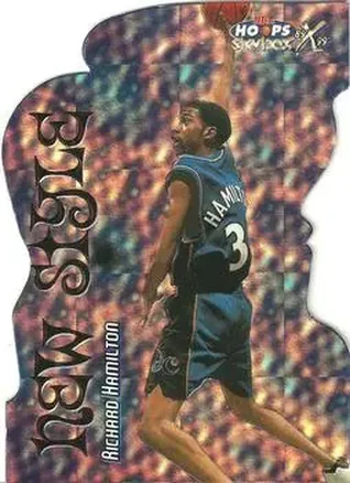1999-00 Hoops Decade - New Style Die Cut #9NS Rip Hamilton