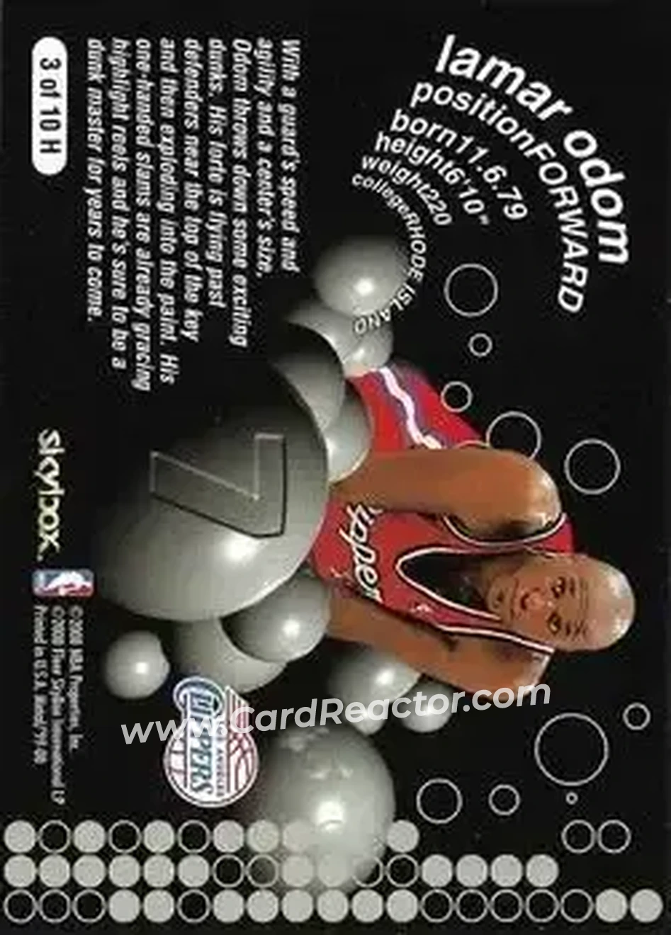 Back of Lamar Odom