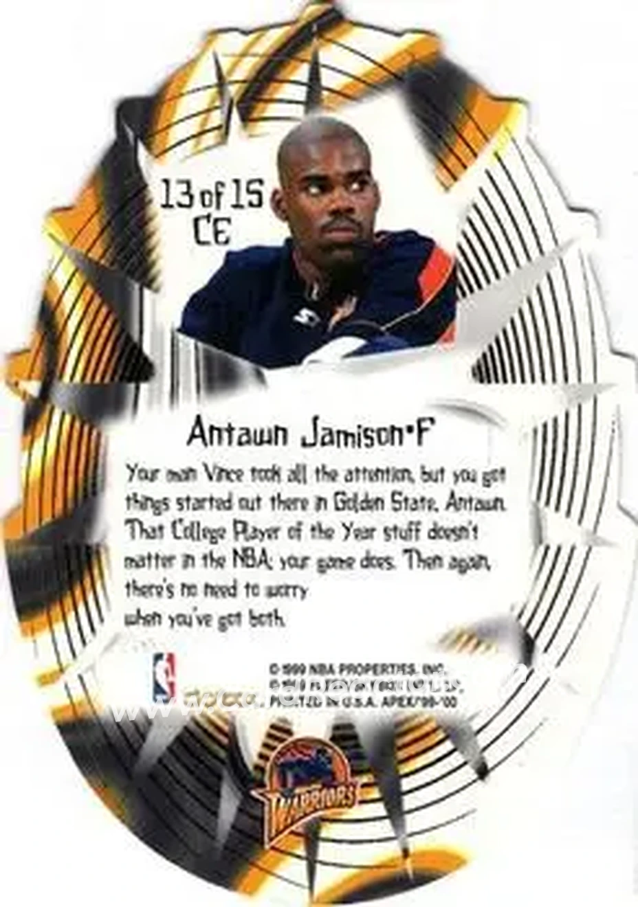 Back of Antawn Jamison
