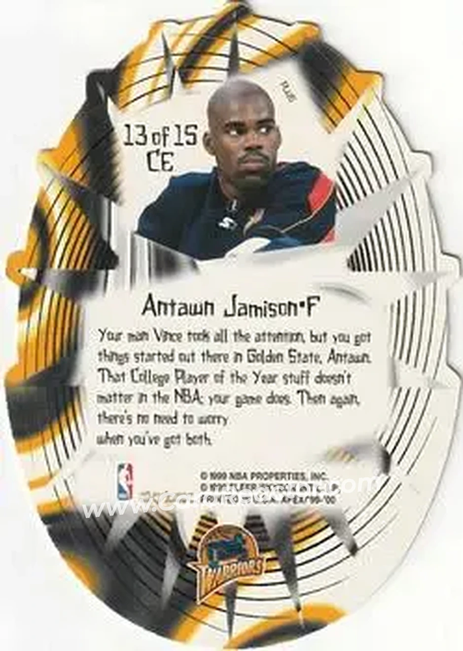 Back of Antawn Jamison
