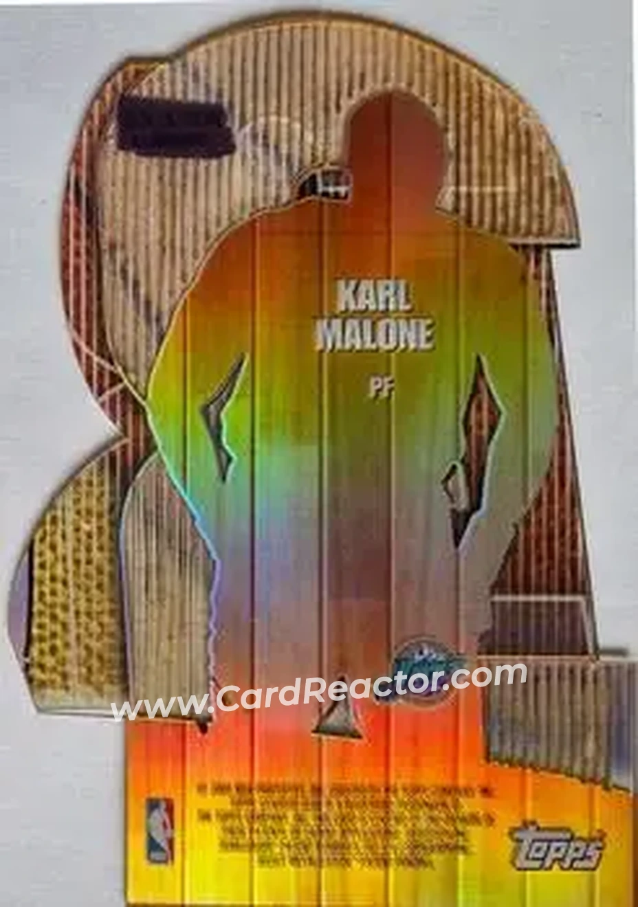 Back of Karl Malone