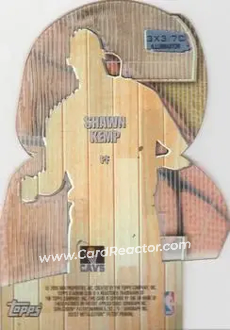 Back of Shawn Kemp