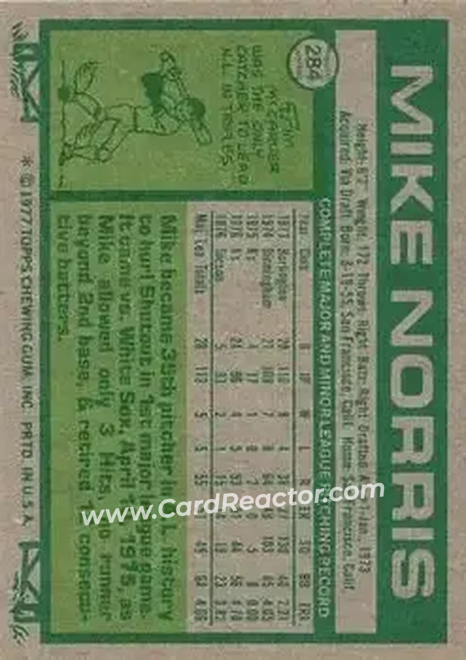 Back of Mike Norris