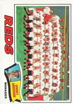 1977 Topps #287 Card #287