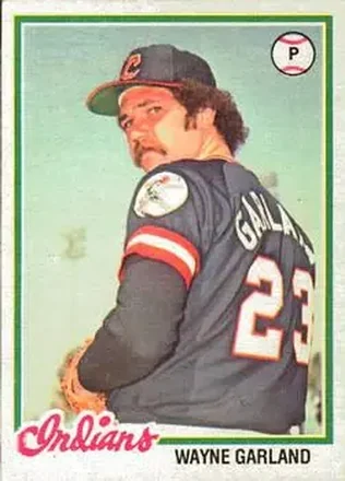 1978 O-Pee-Chee #15 Wayne Garland