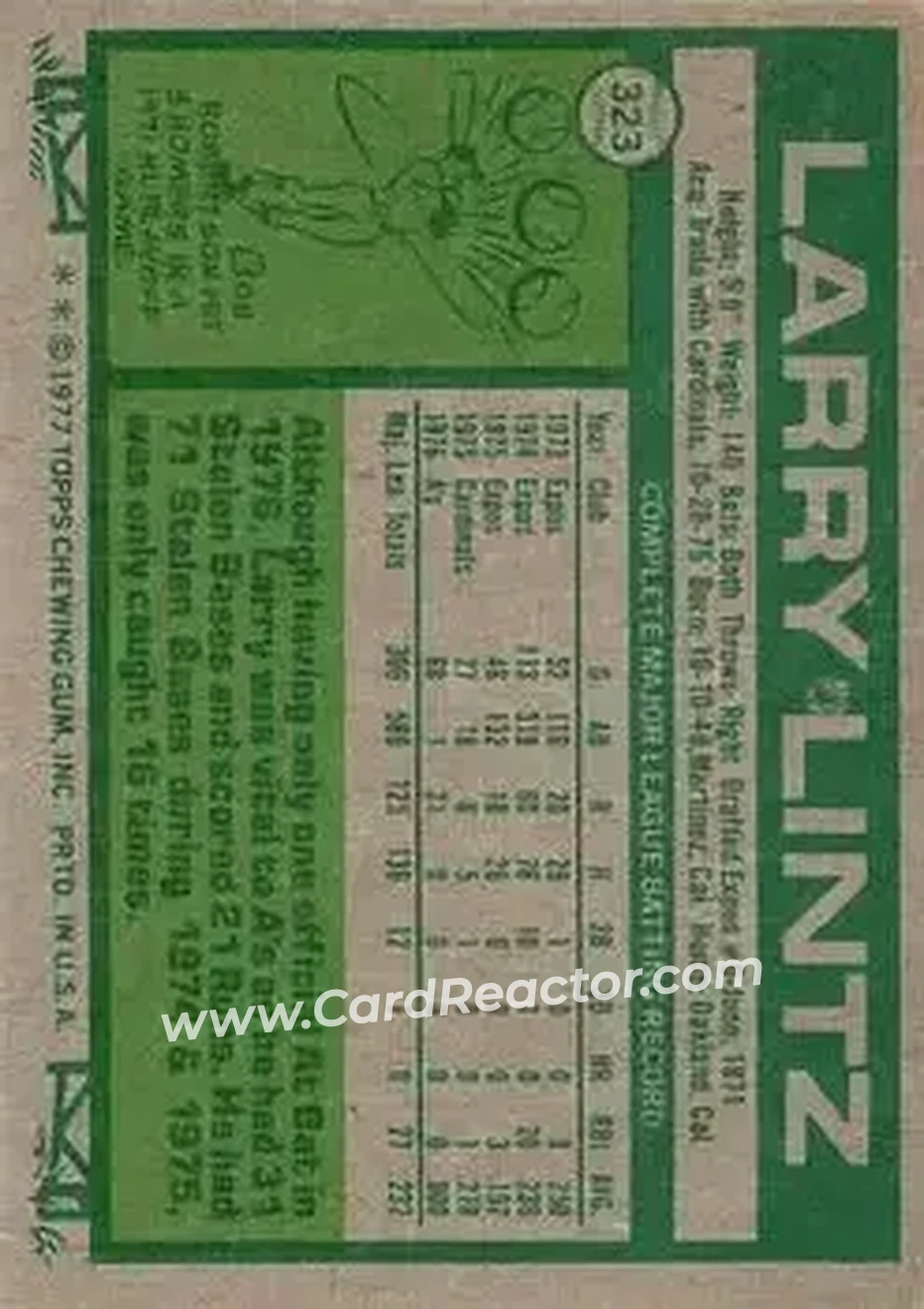 Back of Larry Lintz