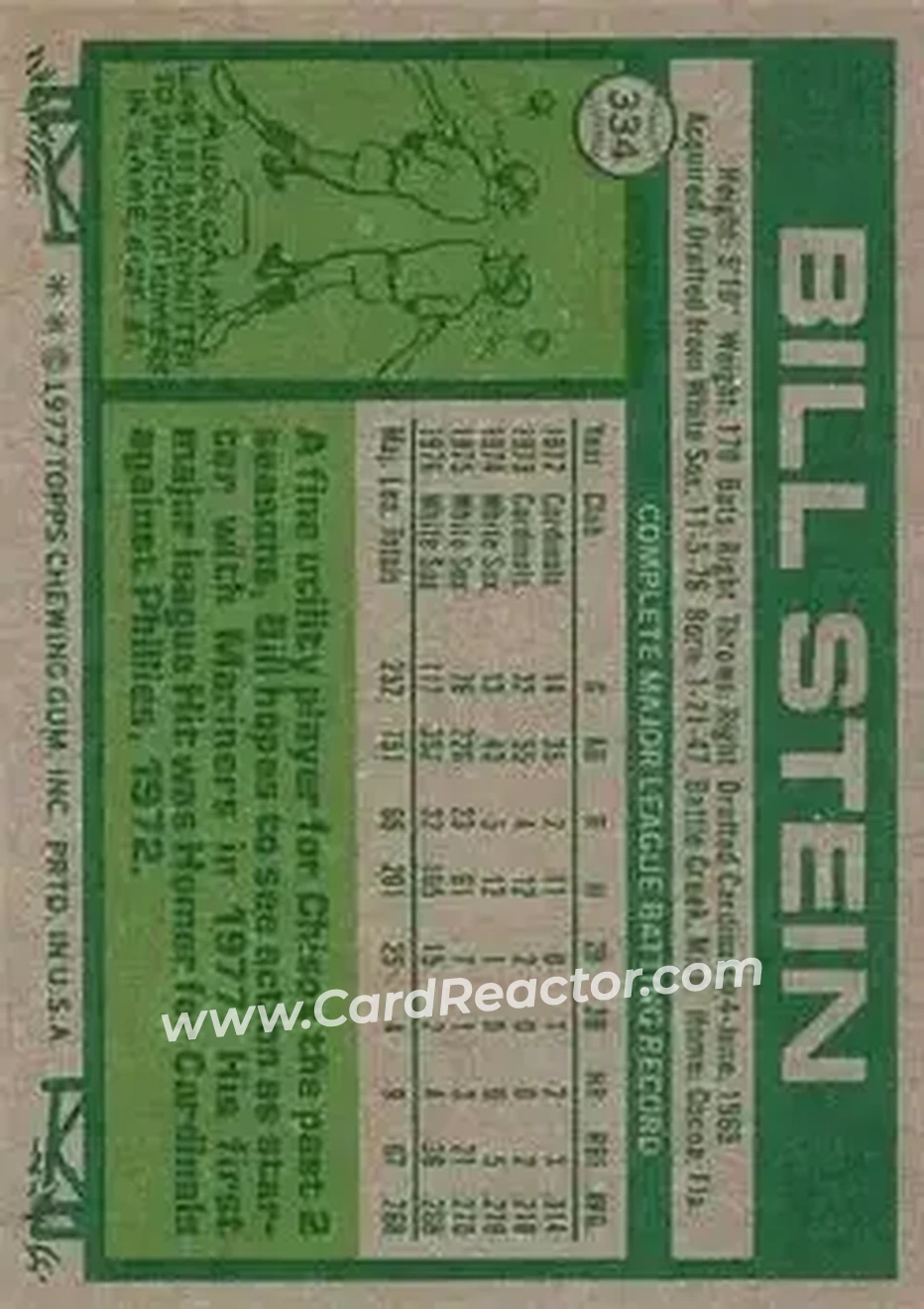 Back of Bill Stein