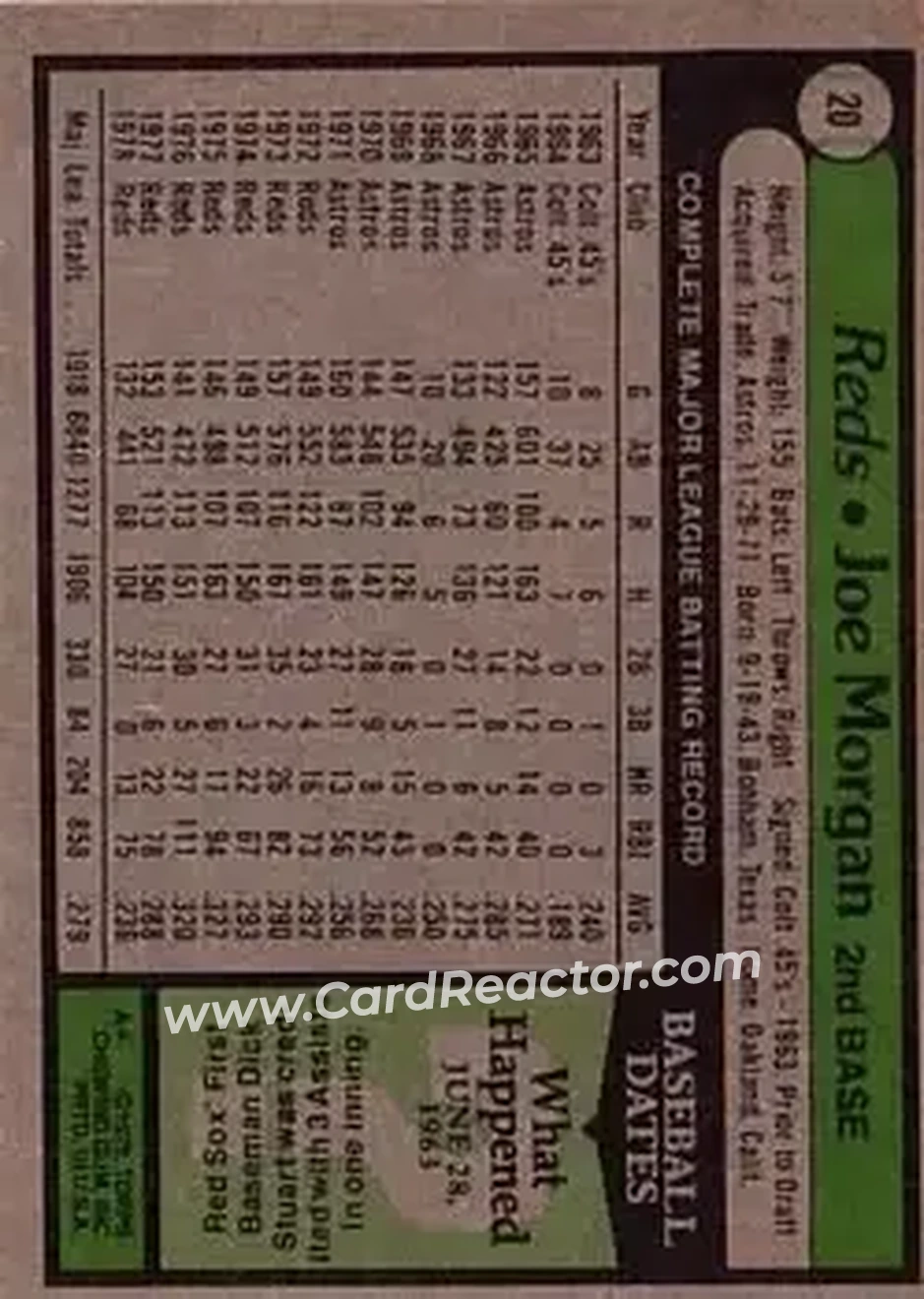 Back of Joe Morgan