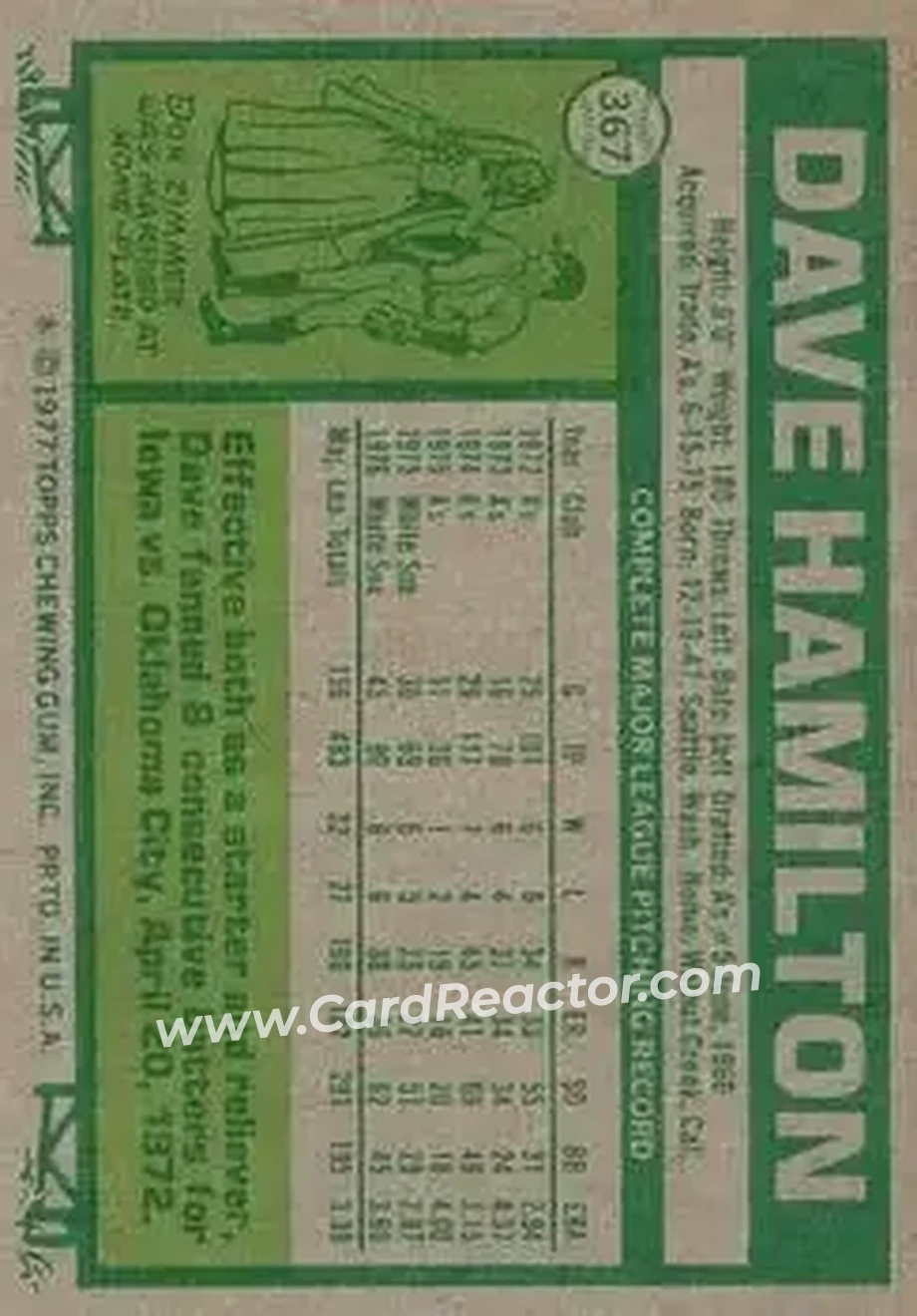 Back of Dave Hamilton