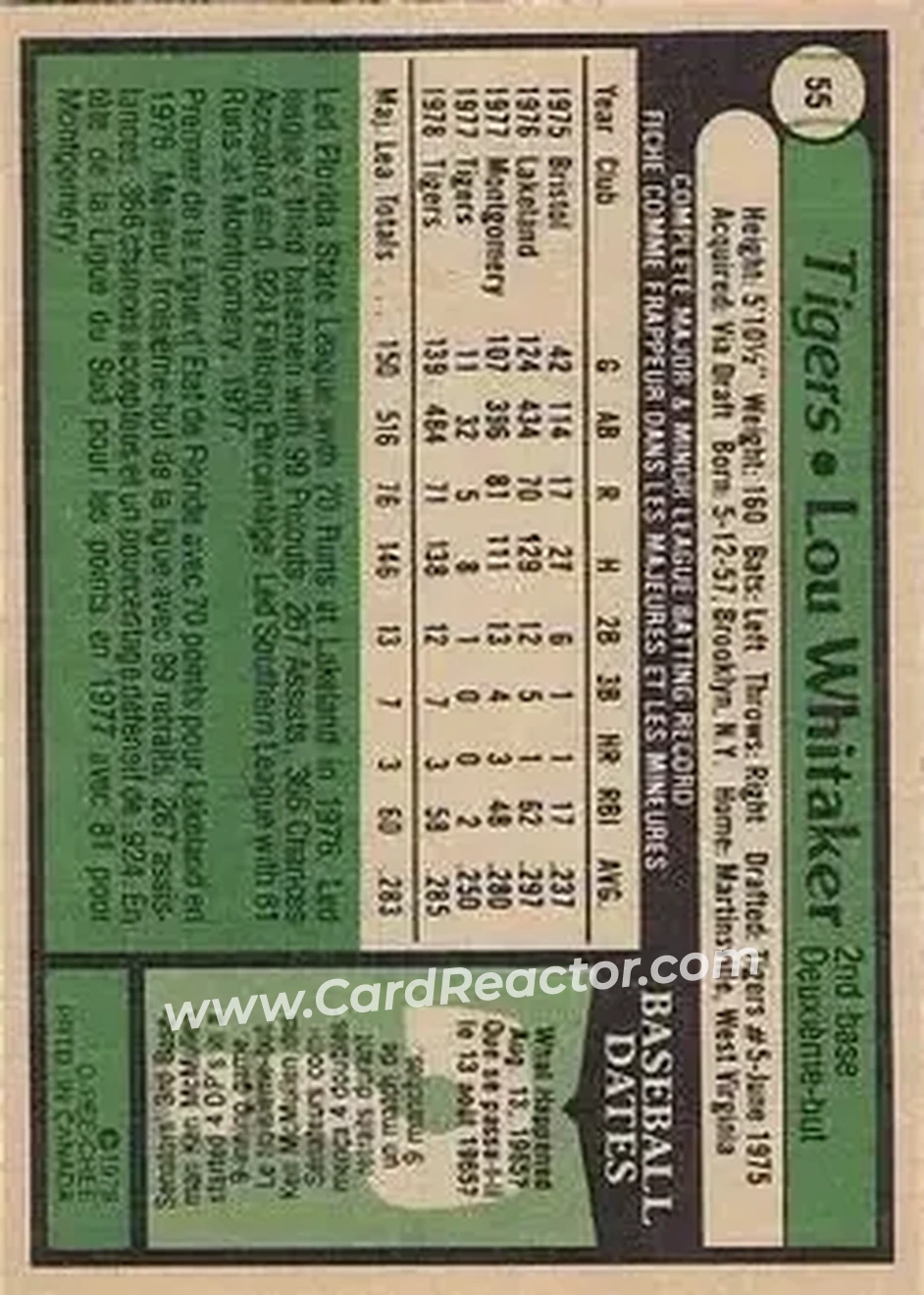 Back of Lou Whitaker