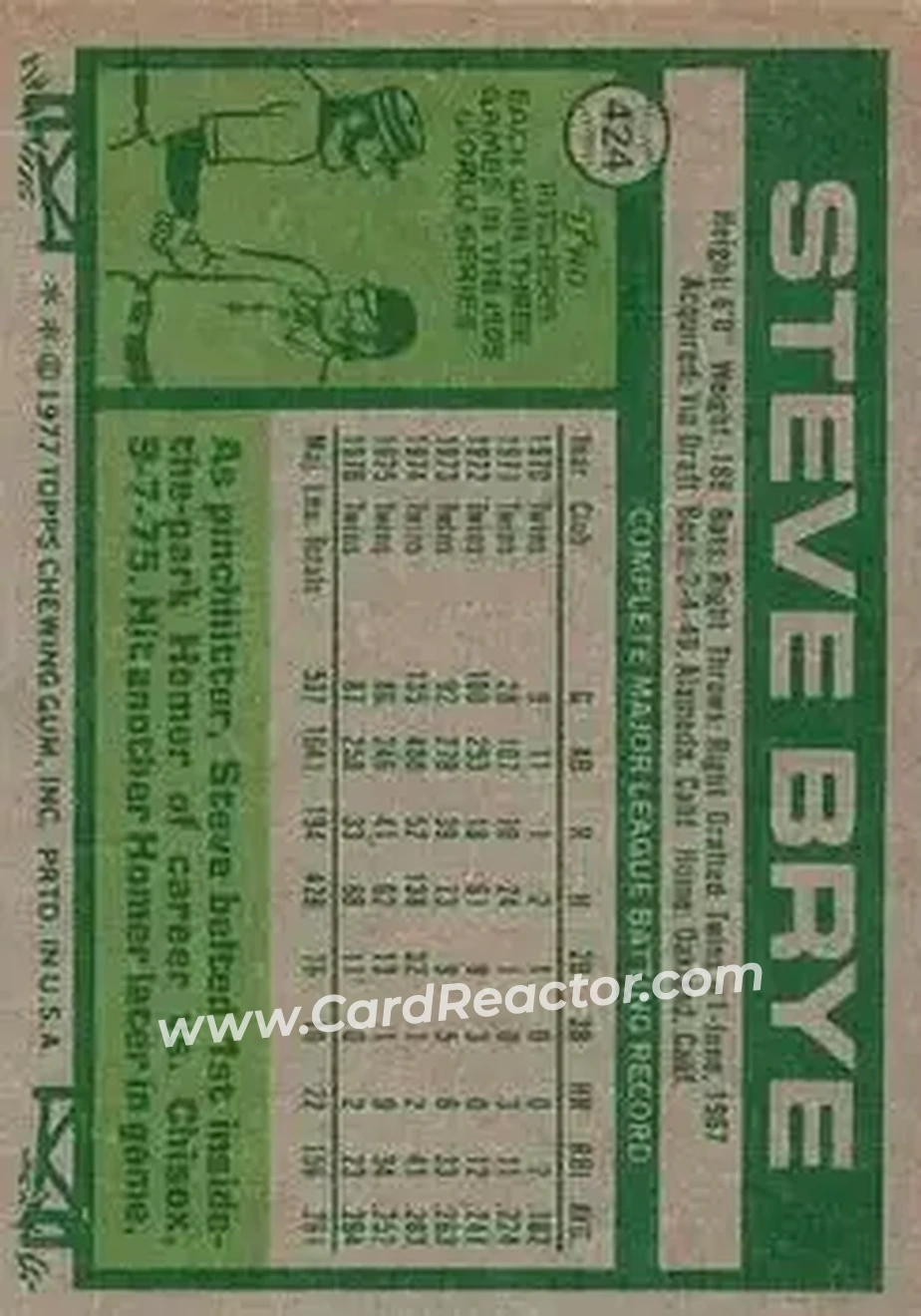 Back of Steve Brye