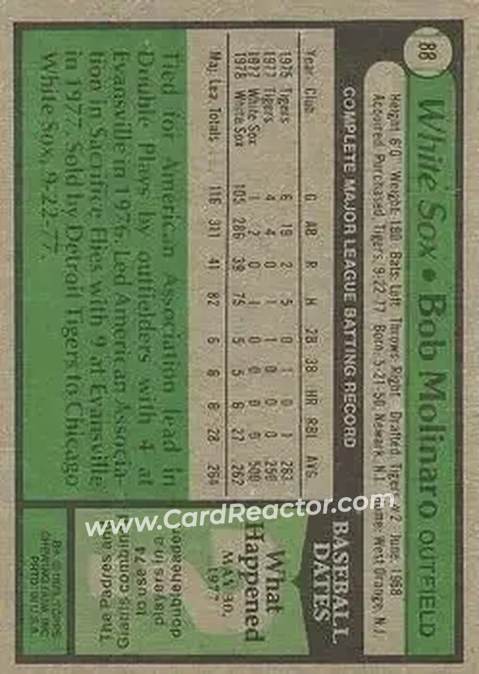 Back of Bob Molinaro
