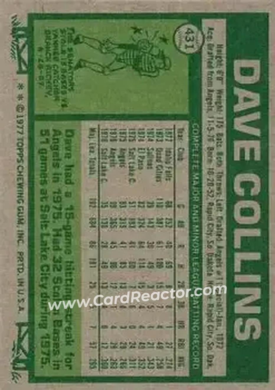 Back of Dave Collins
