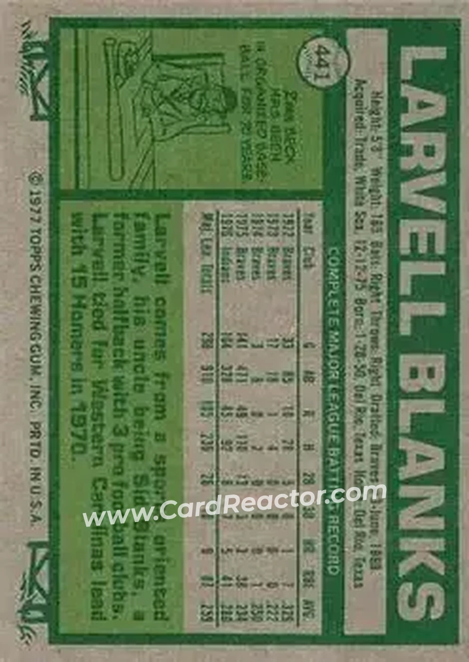 Back of Larvell Blanks