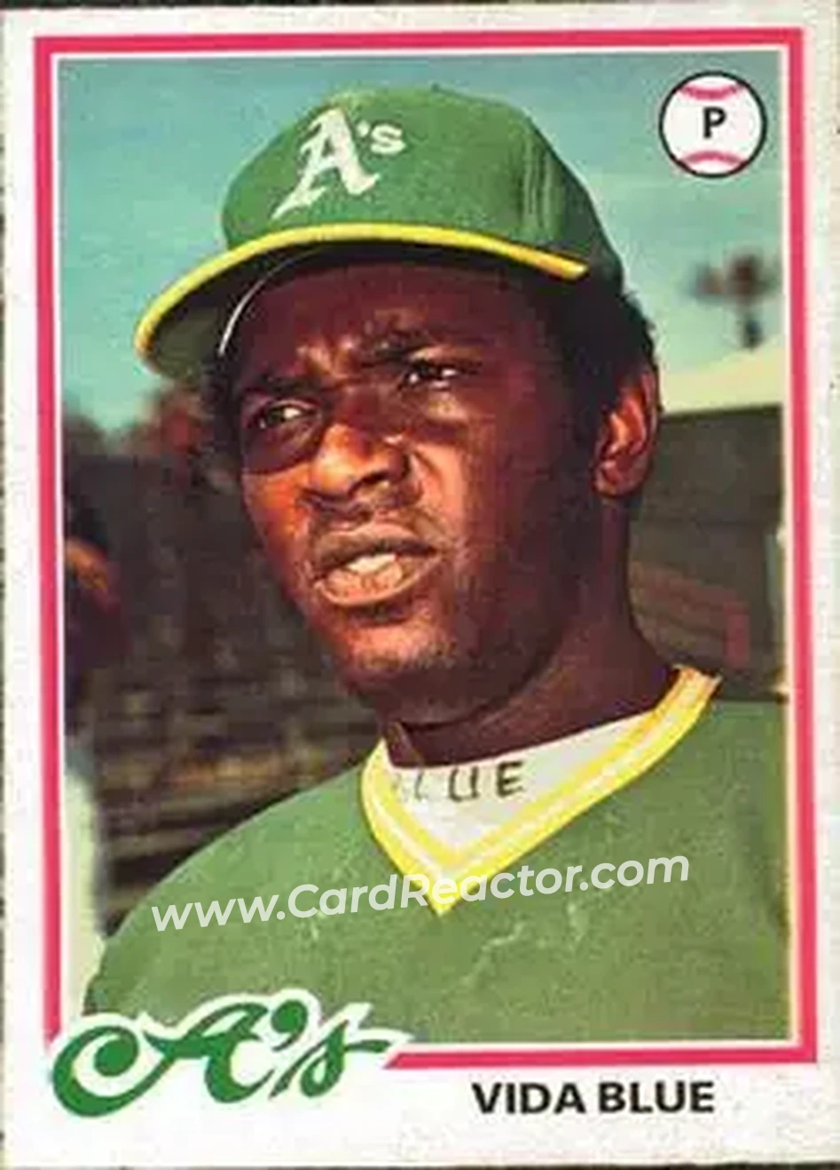 Front of Vida Blue