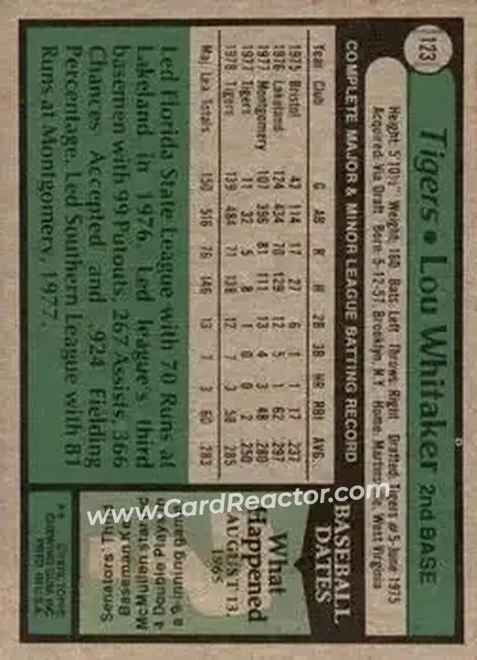 Back of Lou Whitaker