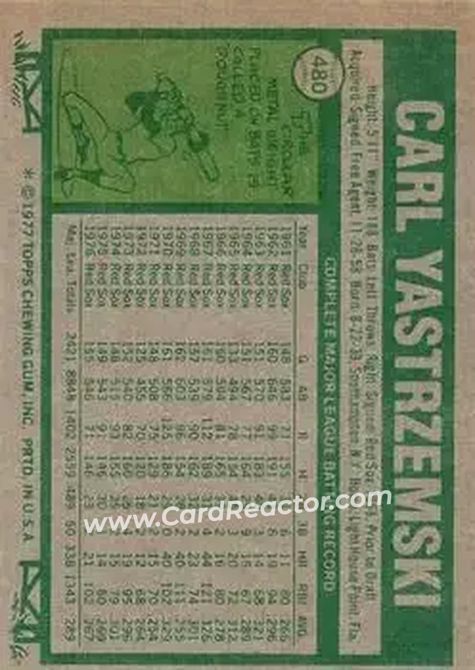 Back of Carl Yastrzemski