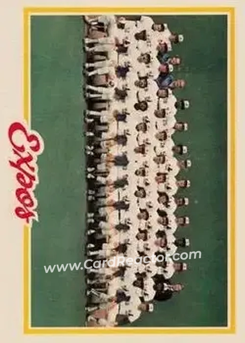 1978 O-Pee-Chee #207 - Card #207 - Montreal Expos