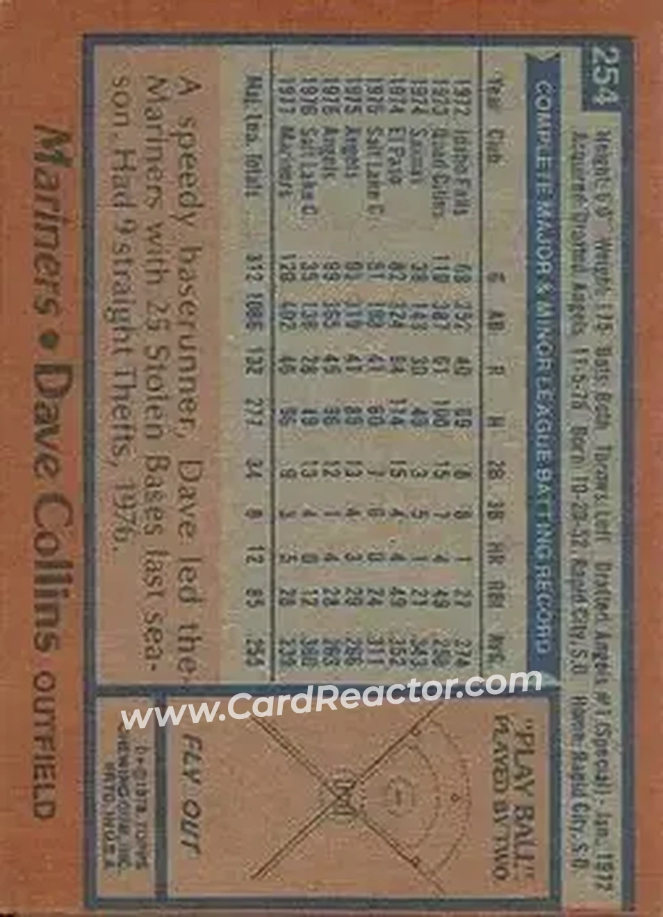 Back of Dave Collins