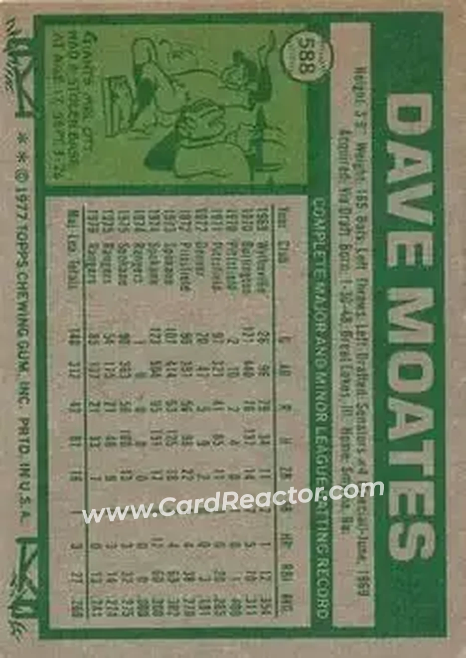Back of Dave Moates
