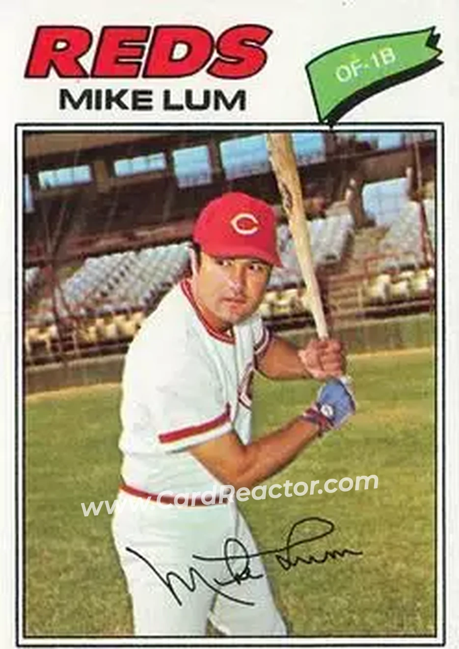 Front of Mike Lum