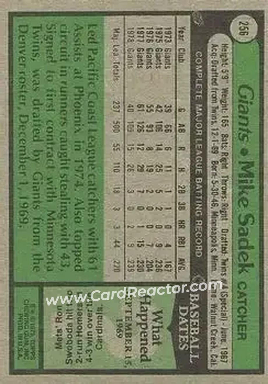 Back of Mike Sadek