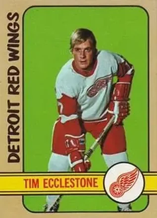 1972-73 Topps #33 - Tim Ecclestone - Detroit Red Wings 1972-73 Topps #33 - Tim Ecclestone - Detroit Red Wings