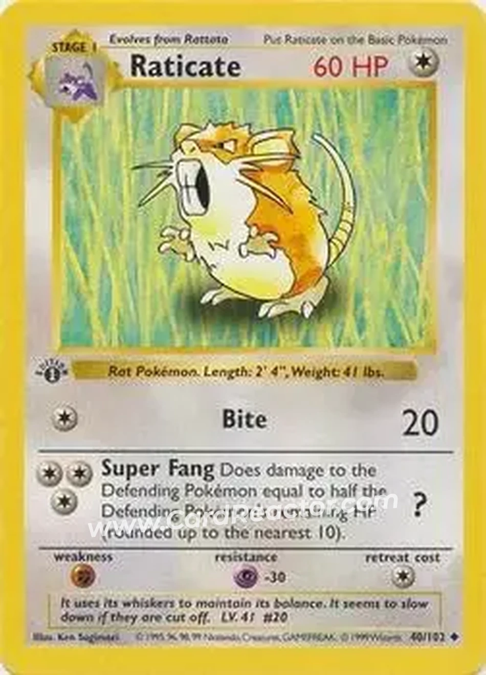1999 Pokemon Base Set 1st Edition #40/102 - Raticate