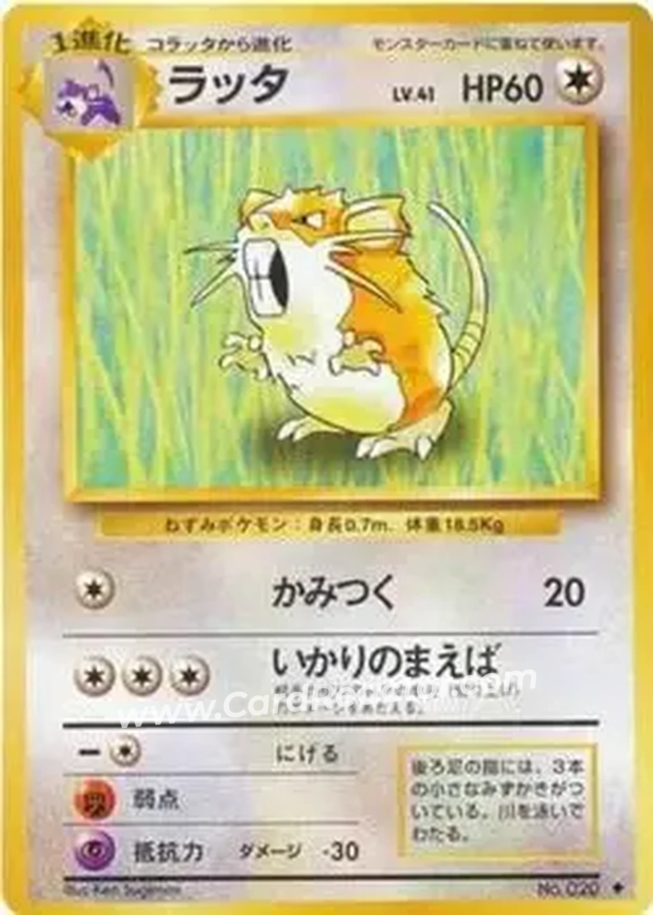 1996 Pokemon Expansion Pack (Japanese) #020 - Raticate 1996 Pokemon Expansion Pack (Japanese) #020 - Raticate