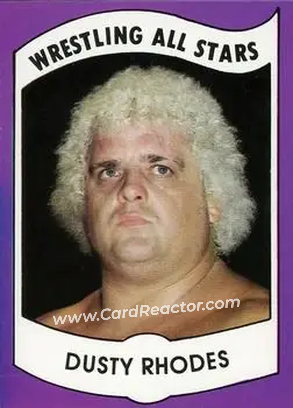 1982 Wrestling All Stars Series A #6 - Dusty Rhodes