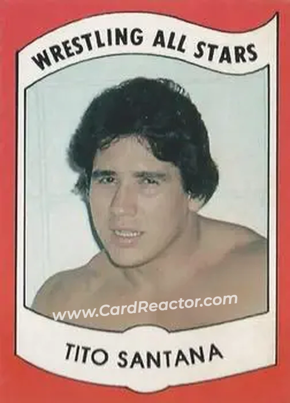 1982 Wrestling All Stars Series B #13 - Tito Santana