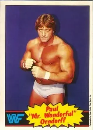 1985 O-Pee-Chee WWF Pro Wrestling Stars #5 - Paul Orndorff