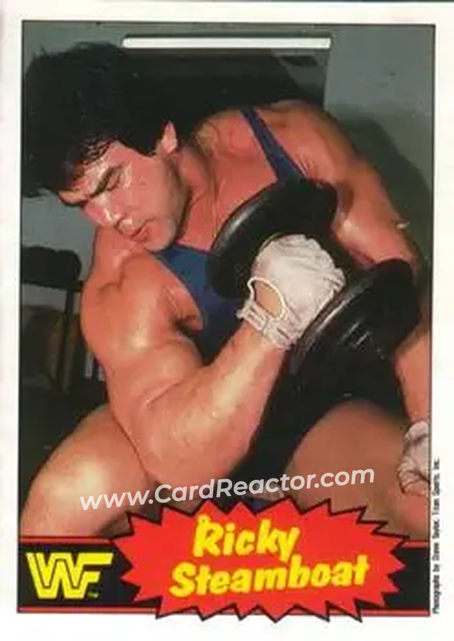 1985 O-Pee-Chee WWF Pro Wrestling Stars Series 2 #5 - Ricky "The Dragon" Steamboat 1985 O-Pee-Chee WWF Pro Wrestling Stars Series 2 #5 - Ricky "The Dragon" Steamboat