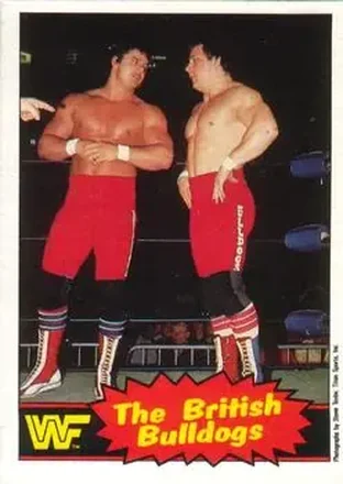 1985 O-Pee-Chee WWF Pro Wrestling Stars Series 2 #6 - Card #6