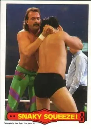 1985 O-Pee-Chee WWF Pro Wrestling Stars Series 2 #10 - Card #10