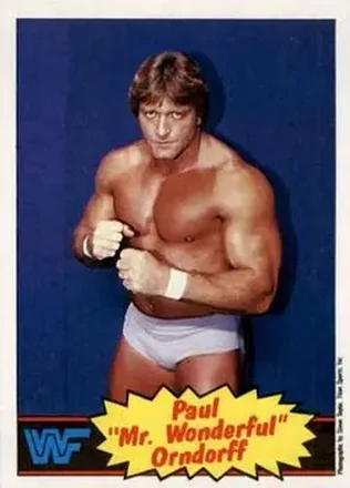 1985 Topps WWF Pro Wrestling Stars #5 - Paul Orndorff