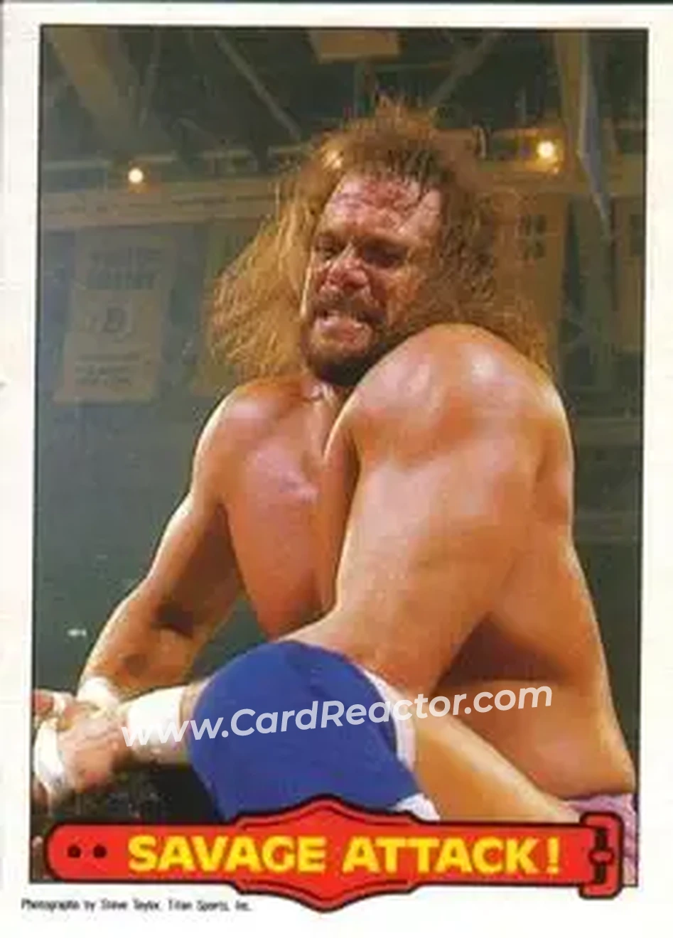 1985 O-Pee-Chee WWF Pro Wrestling Stars Series 2 #11 - Card #11 1985 O-Pee-Chee WWF Pro Wrestling Stars Series 2 #11 - Card #11