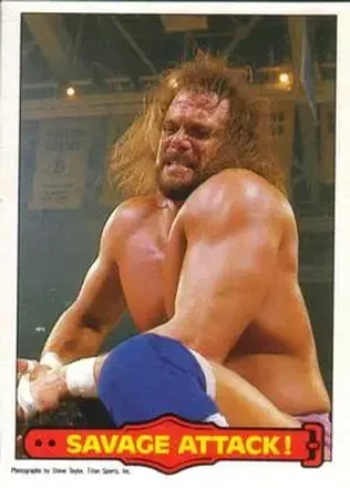 1985 O-Pee-Chee WWF Pro Wrestling Stars Series 2 #11 - Card #11