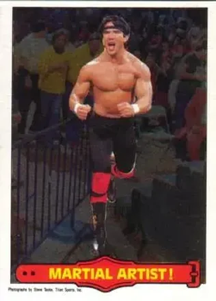 1985 O-Pee-Chee WWF Pro Wrestling Stars Series 2 #16 - Card #16 1985 O-Pee-Chee WWF Pro Wrestling Stars Series 2 #16 - Card #16