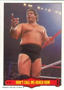 1985 O-Pee-Chee WWF Pro Wrestling Stars Series 2 #17 - Card #17 - Front